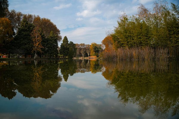 « Découvrez comment les cours de calligraphie améliorent la dextérité et la concentration des seniors »