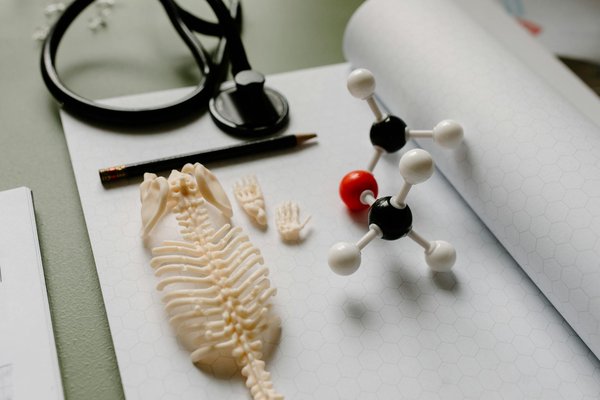 Zoom sur la profession de psychomotricien